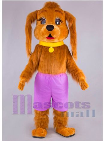Hund maskottchen kostüm