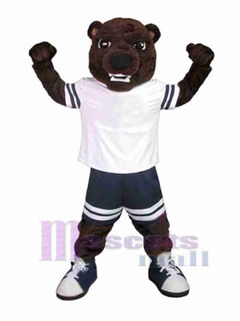 bär maskottchen kostüm