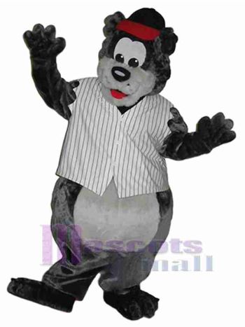bär maskottchen kostüm