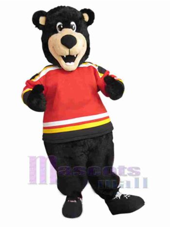 bär maskottchen kostüm