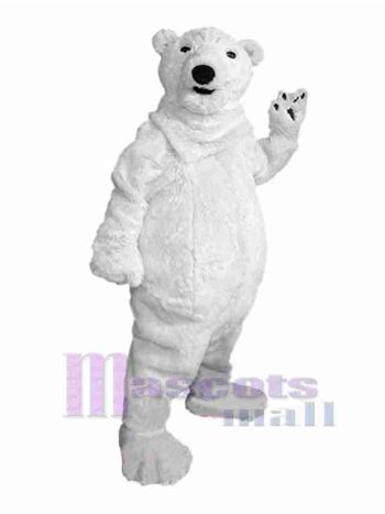 bär maskottchen kostüm
