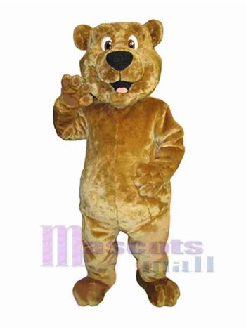 bär maskottchen kostüm
