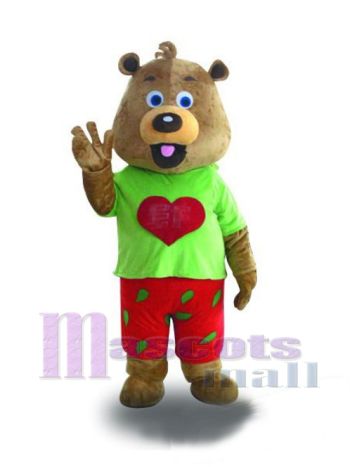 bär maskottchen kostüm