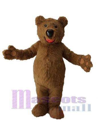 bär maskottchen kostüm