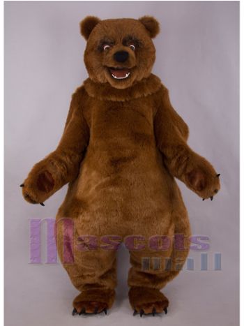 bär maskottchen kostüm