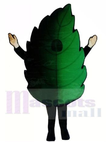 Blatt Leichtgewicht Maskottchen Kostüm