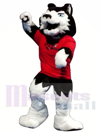 Hervorragend Hochschule Wolf Maskottchen Kostüm