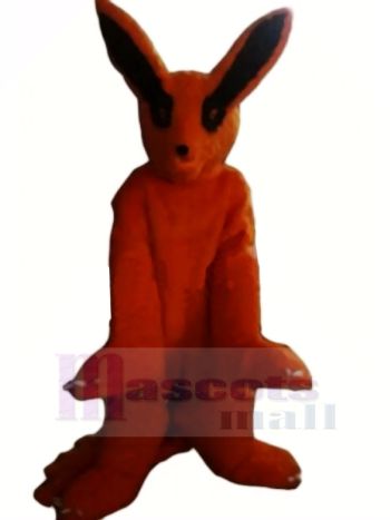 Neunschwänzig Fuchs Maskottchen Kostüme Karikatur