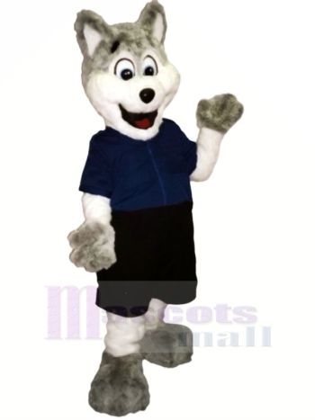 Lustig Hund mit Blau T-Shirt Maskottchen Kostüme Karikatur