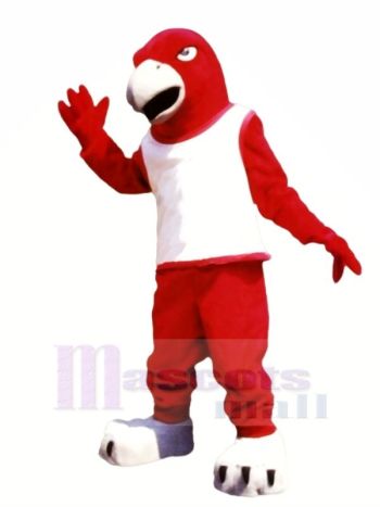 rot Falke mit Weiß Weste Maskottchen Kostüme