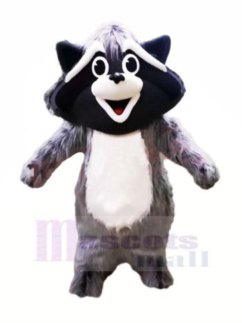 Süß Grau Waschbär Maskottchen Kostüme Tier