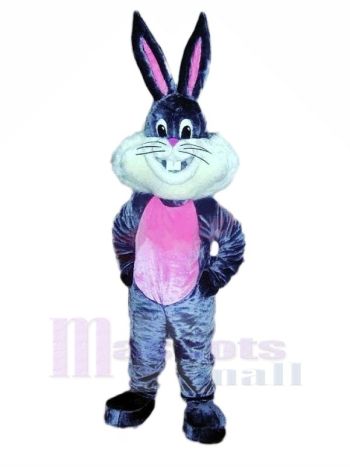 glücklich Hase Hase Maskottchen Kostüme Karikatur