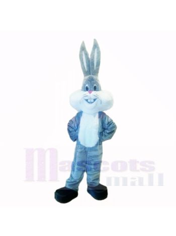 Grau Leicht Hase mit Lange Ohr Maskottchen Kostüme Karikatur