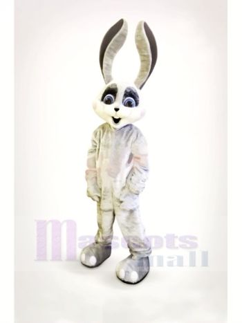 Lächelnd Hase mit Lange Ohren Maskottchen Kostüme Karikatur