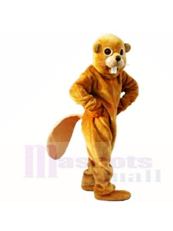 Freundlich Gelb Leicht Biber Maskottchen Kostüme Erwachsene