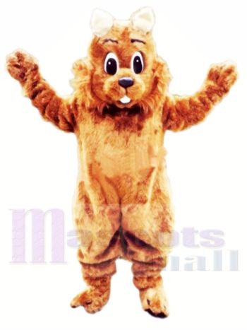 Hochwertige Eichhörnchen Maskottchen Kostüme