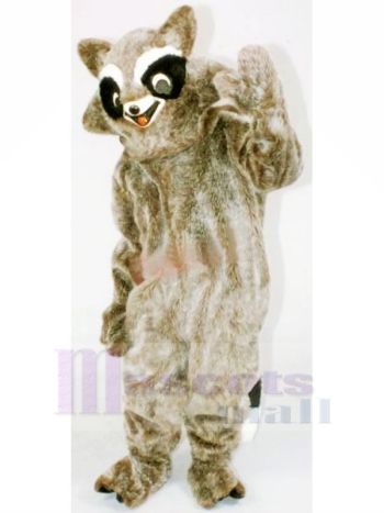 Braun Waschbär Maskottchen Kostüme Billig