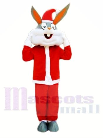 Weihnachten Hase Maskottchen Kostüme