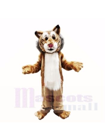 Freundlich Leicht Bobcat Maskottchen Kostüme Erwachsene