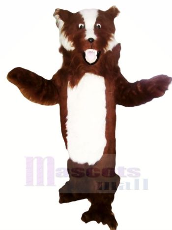 Heftig Braun und Weiß Dachs Maskottchen Kostüme Erwachsene