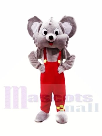 Süß Grau Koala Maskottchen Kostüme