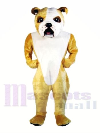 Süß Leicht Bulldogge Maskottchen Kostüme