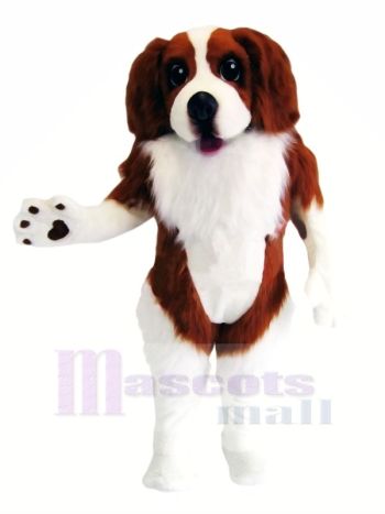 Spaniel Hund Maskottchen Kostüme Karikatur