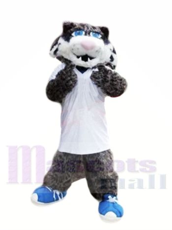 Grau Wild Katze mit Blau Schuhe Maskottchen Kostüme Tier