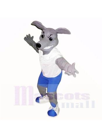 Windhund Hund Mit Weiß Hemd Maskottchen Kostüme Schule