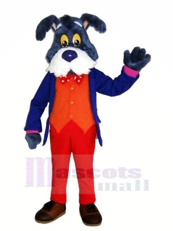 Alt Blau Hund Maskottchen Kostüme Karikatur