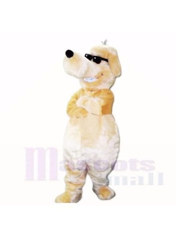 Lächelndes Sonnenbrille-Hundemaskottchen kostümiert Karikatur