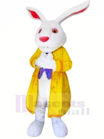 Hase mit Gelb Jacke Maskottchen Kostüme Tier