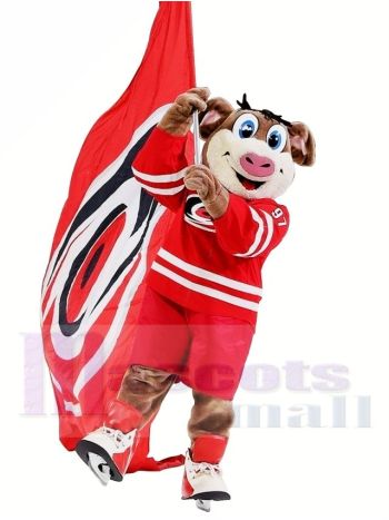 Carolina Hurricanes Stürmisch Maskottchen Kostüm