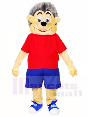 Hedgehog Mascot Costumes Animal