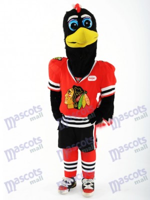 Chicago Blackhawks Tommy Hawk Maskottchen Kostüm