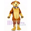 Nettes Ben Beagle Hunde maskottchen Kostüm Tier