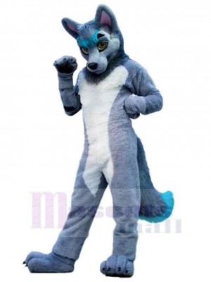 Grauer und weißer Wolf Maskottchen Kostüm Tier mit blauem Schwanz