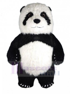 Panda maskottchen kostüm