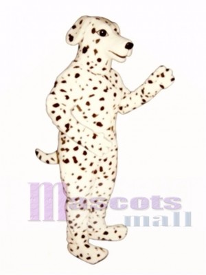 Niedlich Realistisch Dalmatiner Hund Maskottchen Kostüm Tier 