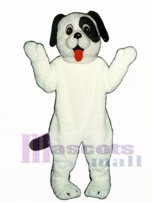 Niedlich Weiß Hündchen Hund Maskottchen Kostüm Tier 
