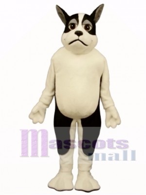 Netter Harrington Terrier Hund Maskottchen Kostüm Tier 