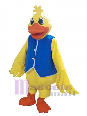 Ente maskottchen kostüm