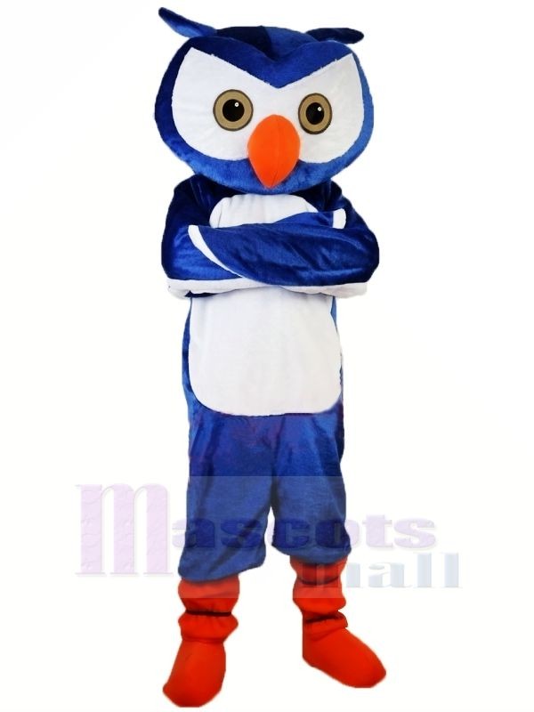 Blau Eule Mit Orange Schuhe Maskottchen Kostume Tier